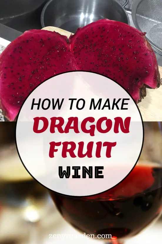 How to Make Red Dragon Fruit Wine (3 Steps)